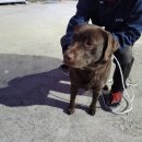 포항시남구72 이미지