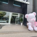 디저트39남춘천점