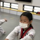 연세삼성태권도장 이미지