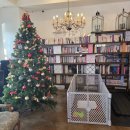 엘페로2 이미지