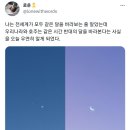 나는 전세계가 모두 같은 달을 바라보는 줄 알았는데 우리나라와 호주는 같은 시간 반대의 달을 바라본다는 사실을 오늘 우연히 알게 되었다 이미지