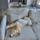 올리버 스테이 | 25.7.29-25.7.31 올리버스테이