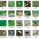탄동천-1 이미지