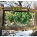 용포주유소 Daum카페