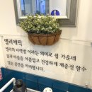 엘리에틱네일 | 파주 운정동 네일 엘리에틱네일샵 페디큐어 만족 후기