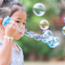 비비소프트웨어 이미지