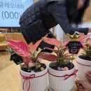 명석유치원 이미지