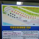 월류봉은혜마을 | [ 동해 캠핑 ] 추암 너를 추앙해 ❤️ 해돋이명소 [ 추암오토캠핑장 ]