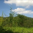 내곡농장 이미지