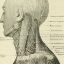 사당한의원 이미지