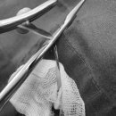 리온동물병원 이미지