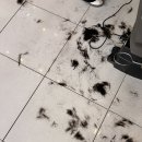 세은테크 | 복대동 미용실 실리콘 없는 모발클리닉 찰스리헤어테크 청주 지웰점