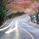 (주) 지닌 이미지