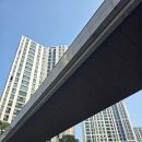 대덕산로 이미지