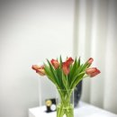 (JW)필라테스 이미지