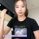 조아펫 이미지