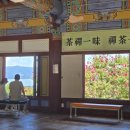 아름드리완도점 | [전라도여행] 1박 2일의 강진, 완도, 청산도 여행_강진 만덕산 백련사(白蓮寺)