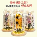 [공지] 센스있는 개업 선물? SNS 감성 가득! 커스텀 가능한 미니 화환 무드등