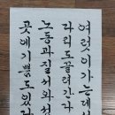 월요일 자율탁구(오후) 이미지