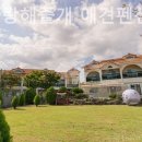 평생 사랑해 줄 개 애견펜션 이미지