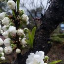 이시돌쉼터 이미지