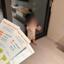 김해롯데리조트 아기랑 가기좋은 숙소 내돈내산 후기