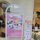 아임파인 | 더현대 대구 쿵야 레스토랑 팝업 아임파인다이닝 다녀온 후기(굿즈,가격)