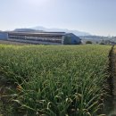 귀동농장 이미지