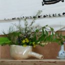 원지농원 이미지