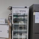 (주)한국태권도아카데미 | 펫푸드자격증 강아지수제간식창업 박현미펫아카데미학원 후기