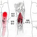 근골명가