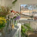 수원천로428번길 이미지