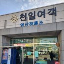 천일여객 영산정류소 | 창녕 영산터미널 부산 대구 마산 김해 서울 가는 시외버스 시간표
