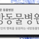 내방역 1번출구 동물병원 앞 이미지