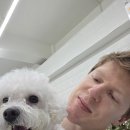 MY DOG GROOMING 이미지