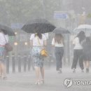 소나기 - 서초구 | 소나기