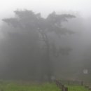 안서초등학교 이미지