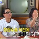백마스튜디오 - 고양시 일산서구 장자길 93 | 백마스튜디오