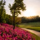 필드 골프클럽 이미지