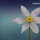 산수의료재단
