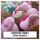 인형뽑기마을 | 초롱꽃마을 인형뽑기 중에 여기 추천, 핑크버니 무인 뽑기방 솔직 체험