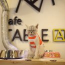 테이블에이 이미지