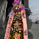 여주-0203 이미지