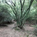 동백목장 이미지