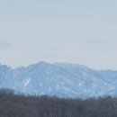 송악산농장
