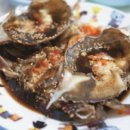 본향장의 이미지