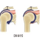 그로우무브 이미지