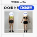 지은비