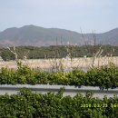 고흥봉황정 이미지