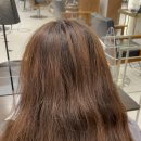 베이지 앤 브라운 이미지